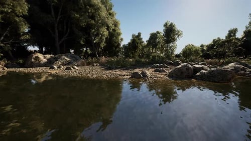 Calm River Water with Tree and Rock Reflections