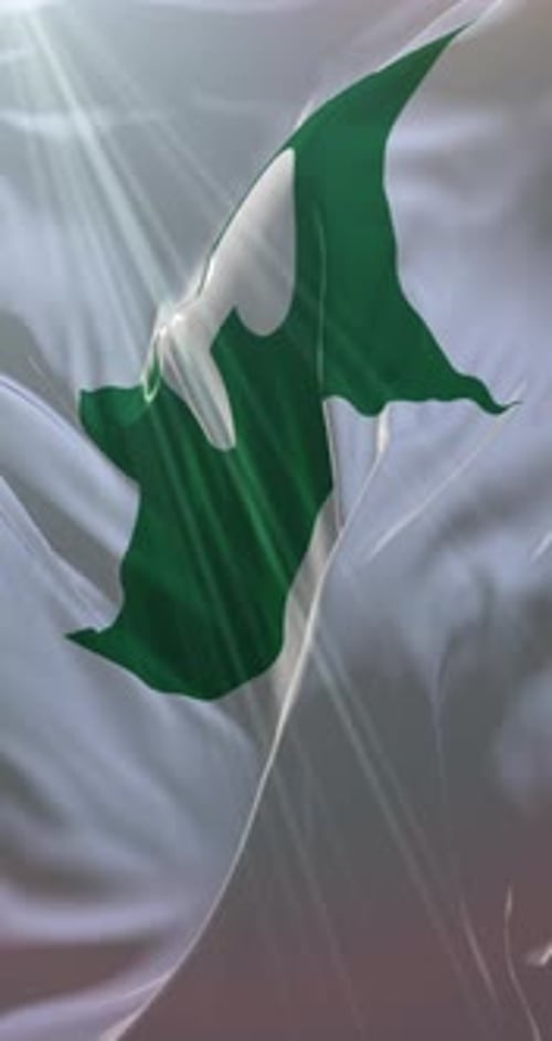 Abstract Green Symbol Waving Flag with Sun Rays Loop