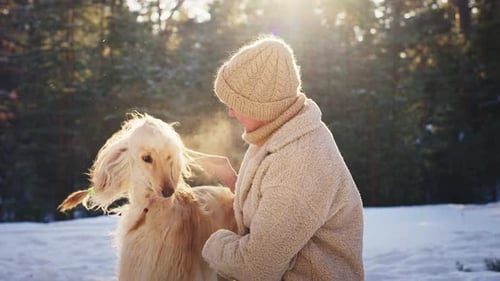 Woman Brushing Dog's Fur in Snowy Forest