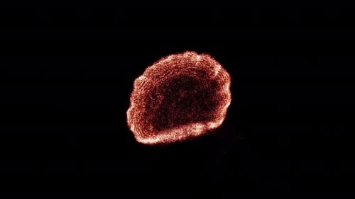 Dynamic Abstract Fiery Particle Burst Reveal