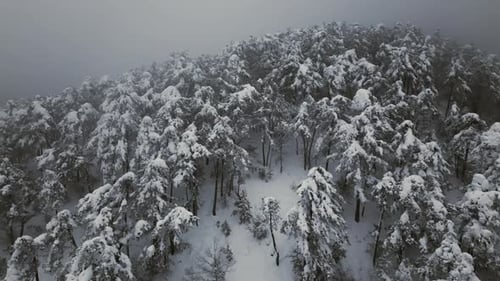 Snowy Mountains and Fog - 2K