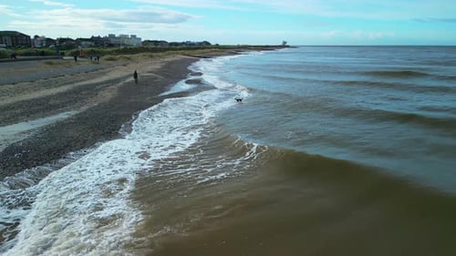 Chien sortant de la mer d'Irlande trouble avec des calottes blanches. Ralenti à mi-vitesse. Fleetwood, Lancashire, Angleterre