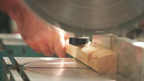 Professional carpenter. Close up wood worker cutting wooden planks.