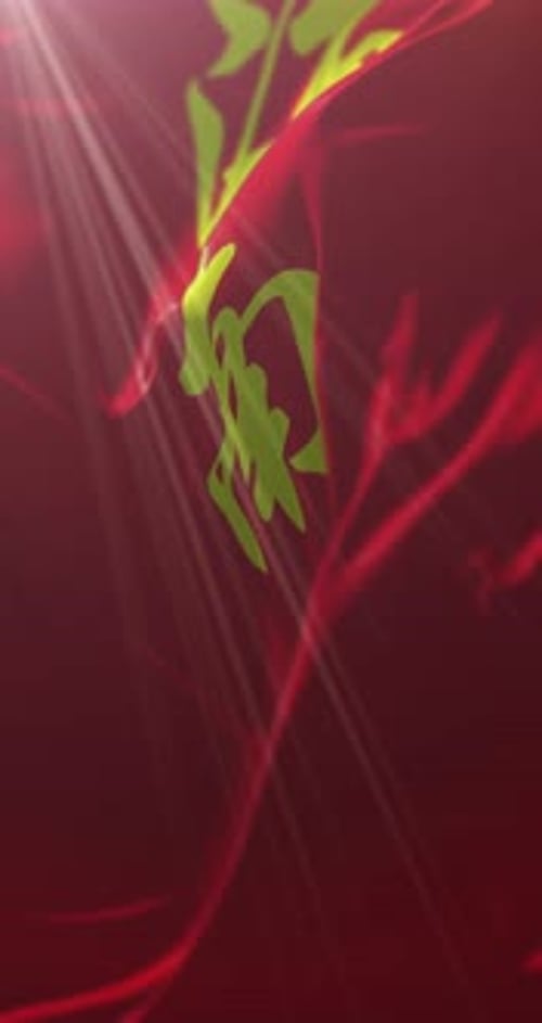 Red Waving Fabric Background with Green Chinese Calligraphy