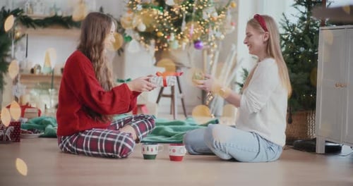 Two Women Exchange Christmas Gifts in Cozy Home