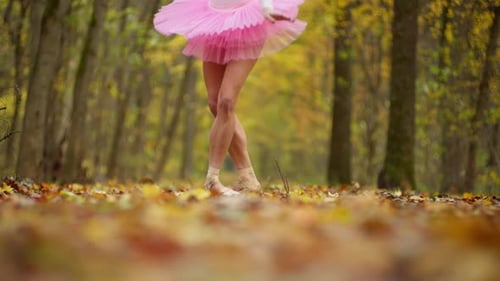 Closeup of the Graceful Legs of a Ballerina in an Autumn Park
