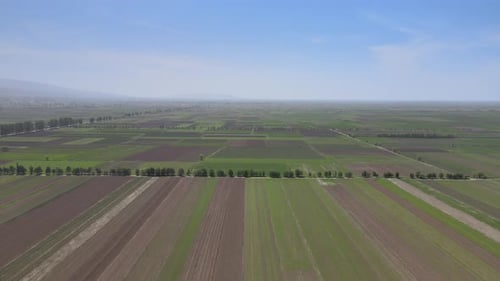 Spring field