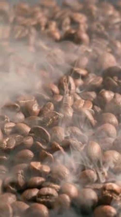 Steaming Roasted Coffee Beans
