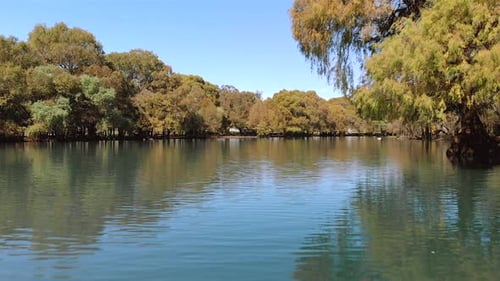 DRONE: LOW PASS ON LAKE WITH TREES