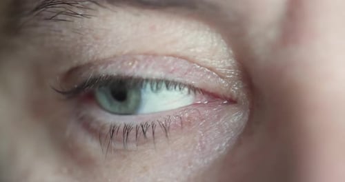 Close Up Macro Shallow Depth of Field Shot of Human Male Eye