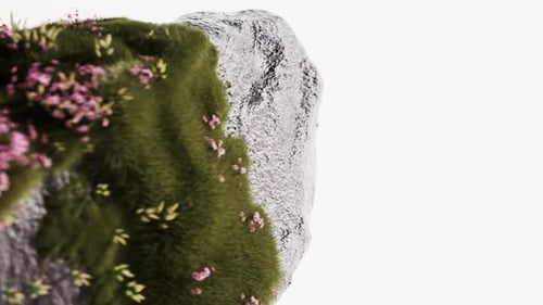 Rotating Organic Rock with Moss and Blooming Pink Flowers