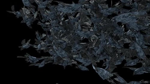Flying Flock of Dark Textured Crows