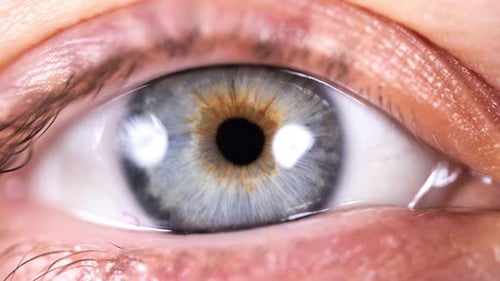 Ein Auge aus Nahaufnahme