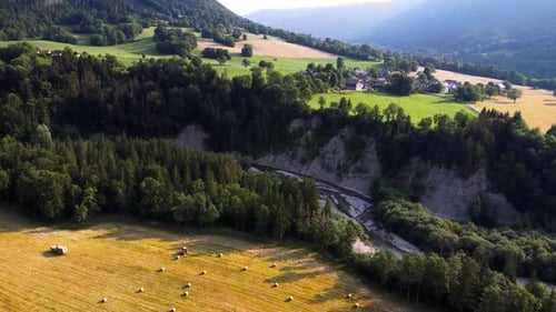vue aérienne d'un paysage forestier avec une rivière et un champ jaune, paysage sauvage, près d'un village, d