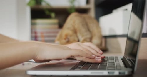 Hands Typing on Laptop in Home Office