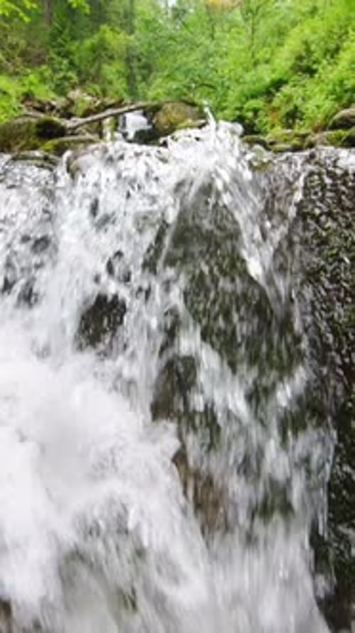 Wasserkaskaden über felsiges Gelände in einer ruhigen Waldumgebung