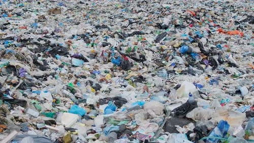 A Lot of Plastic Waste in the Middle of the Forest The Drone Flies Very Low Over Trash and Plastic