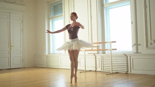 Elegant Ballerina Performing Ballet Dance in Studio
