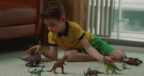 Young Boy Playing With Dinosaur Toys on Rug