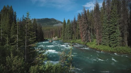El río atraviesa el exuberante bosque verde y su agua fluye de manera constante a medida que pasa junto a un alto río