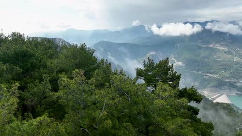 Nature's Embrace Aerial View of the Captivating Green Forest on the Mountain Range
