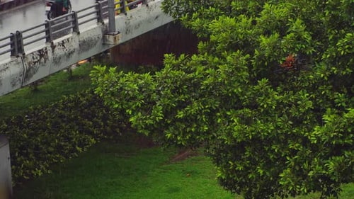 Regen auf Grünflächen in der Stadt