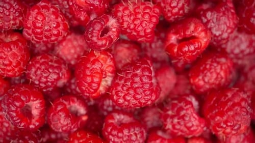 Close Up Rotation Raspberry Macro Red Fresh Raspberries Fruit Rotation