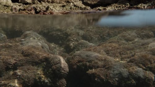 Die Kamera schwankt auf den Wellen, fängt einen Blick auf Meeresfelsen an der Küste ein und taucht dann unter Wasser.