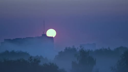 Sunrise Over the Roofs of City Buildings The Movement of the Fog Among the Trees