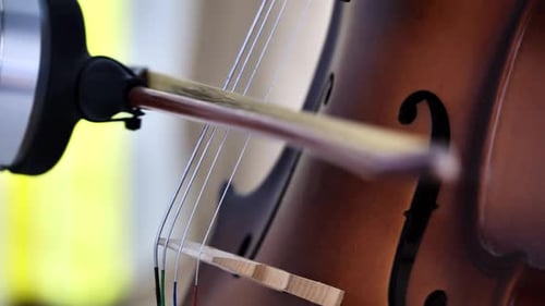 Close-up of Bow Playing Cello Strings for Music