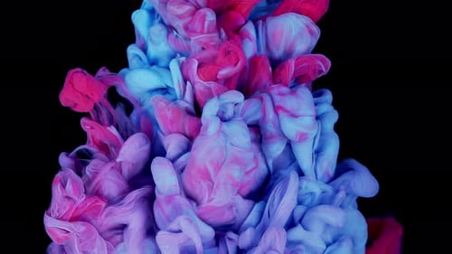 Pink And Blue Ink Cloud Collision Paint Mixing In Water Slow Motion Black Background Abstract Motion