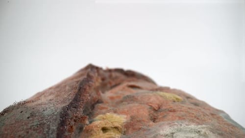 Moldy bread on white background isolated 4K