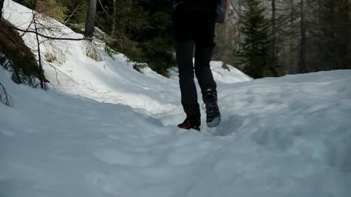 Person Hiking Through a Snowy Winter Wonderland