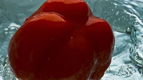 Red Bell Pepper Falling into Water