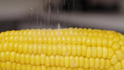 Salt sprinkling down onto the cooked corn, captured in slow motion, in a close-up shot.