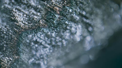 Charcoal particles