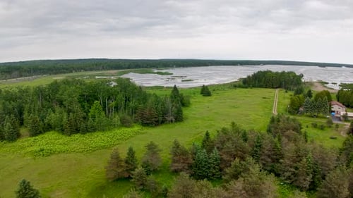 Aerial drone view of a lush green forest landscape meeting the shoreline under a cloudy sky