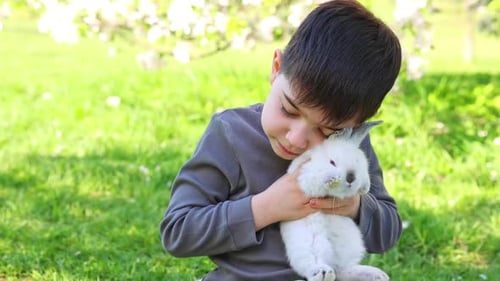 kids sibling are playing with white baby rabbits outside in park or garden sitting on picnic blanket