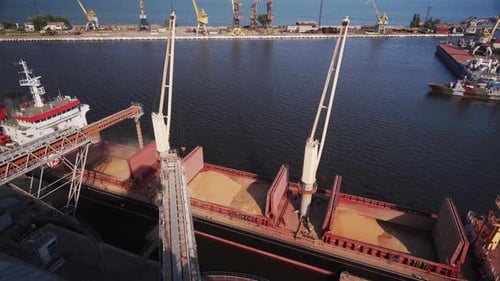 Wheat Loading to Bulker Ship Cargo Container at Sea Grain Terminal in Seaport Grain Shipment From