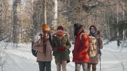 Multi-Ethnic Friends Travelling Together