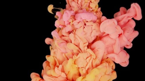 Colorful Ink Flowing in Water on Black Background