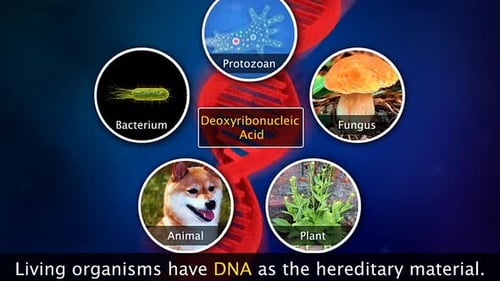 Animated DNA Double Helix and Gene Science Explainer