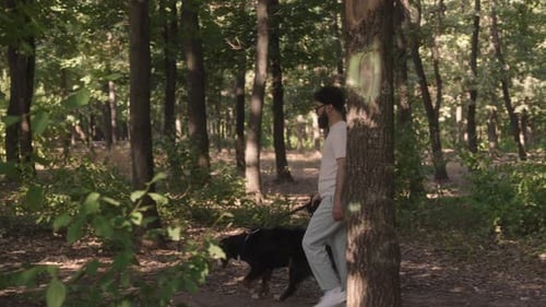 Man Walks Dog In Forest