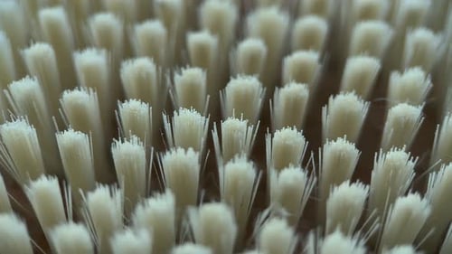 Macro View of White Brush Bristles