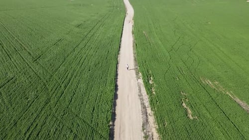 Aerial Shot Of Man Walking On Pathway Amidst Beautiful Meadow On Sunny Day