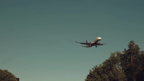 Airplane Landing Approach, Flying over Trees