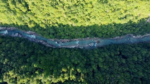 Aerial drone view: Flight over mountain river between green pine tree forest with light and shadow.