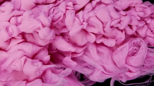 Fluid Color Blend Mesmerizing Cloud of Pink Ink and White Paint on Black