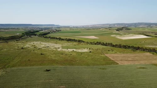 Aerial View on Green Wheat Field in Countryside