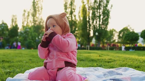 An Adorable Toddler Little Girl in a Pink Suit is Sitting on a Plaid Spread on the Green Grass in a